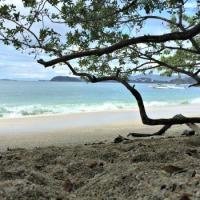 Costa Rica Trip, Day 11 - Playa Conchal